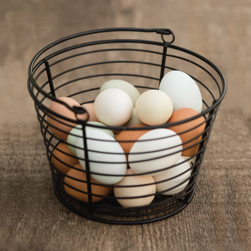 LINCOUNTRY Wire Egg Basket for Gathering Fresh Eggs,Red Egg Baskets for  Fresh Egg Farmhouse,Egg Collecting Basket,Round Metal Egg Basket With